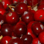 Just 100g Of Cranberries Every Day Helps To Improve Heart Health F