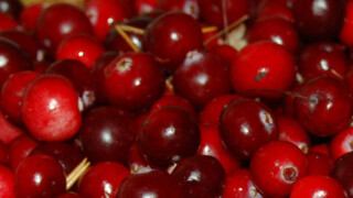Just 100g Of Cranberries Every Day Helps To Improve Heart Health F