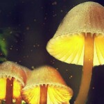 Magic Mushroom Ingredient May Be An Effective Migraine Treatment F