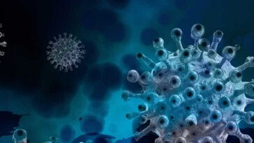 Steroids Are Not An Effective Treatment For Covid 19 Smell Loss F